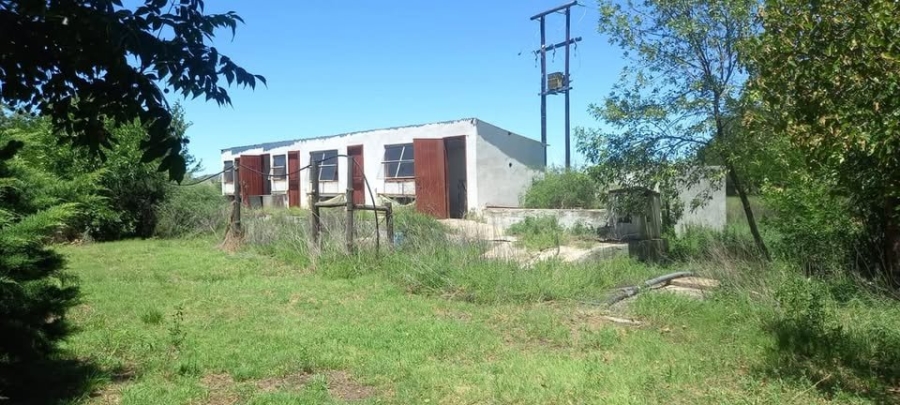 5 Bedroom Property for Sale in Edenburg Rural Free State